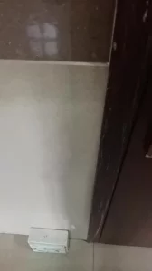 母狗不就应该这样吗