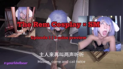 主人喜欢这个雷姆吗