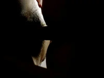 可以随意触摸内部位游戏